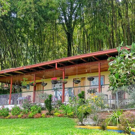 Finca Turistica Los Rosales Pereira Eksteriør bilde