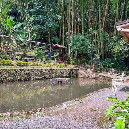 Finca Turistica Los Rosales Pereira Eksteriør bilde