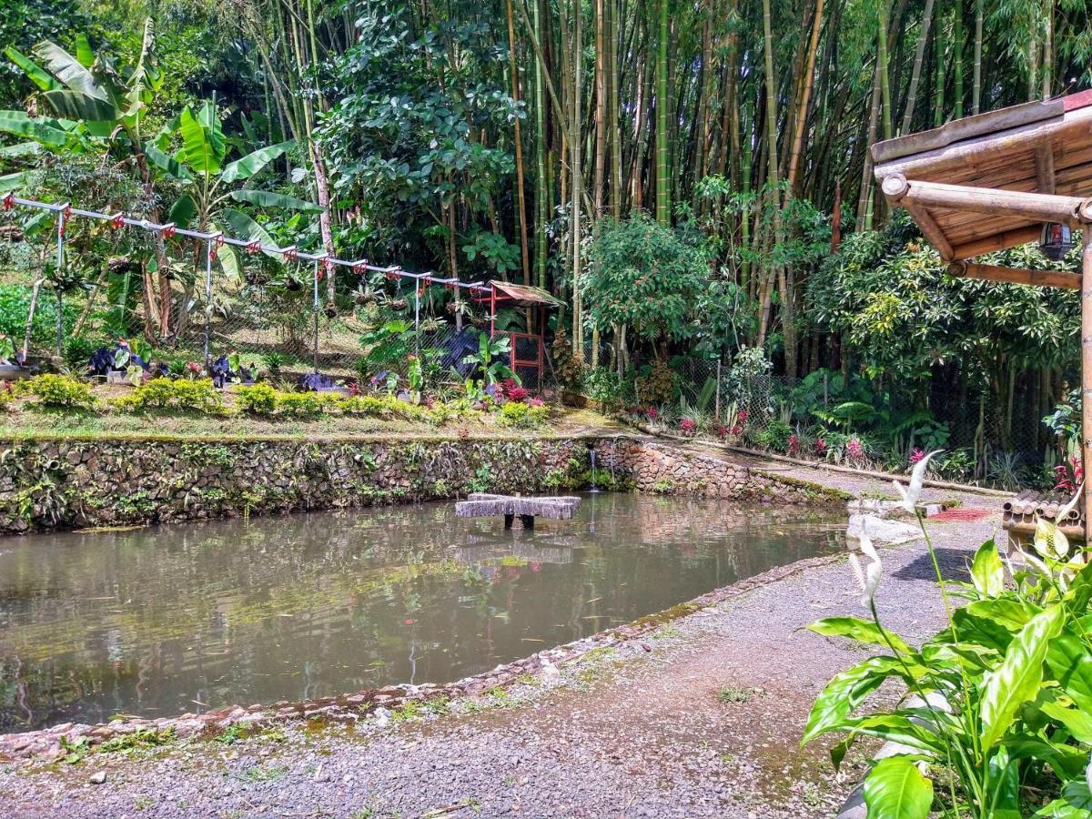 Finca Turistica Los Rosales Pereira Eksteriør bilde