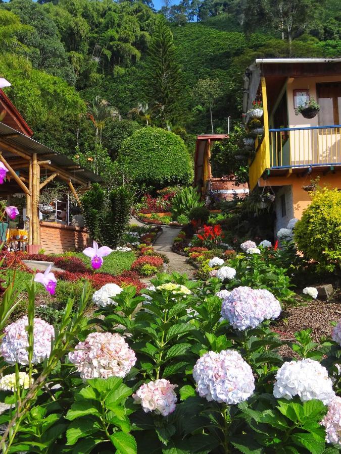 Finca Turistica Los Rosales Pereira Eksteriør bilde