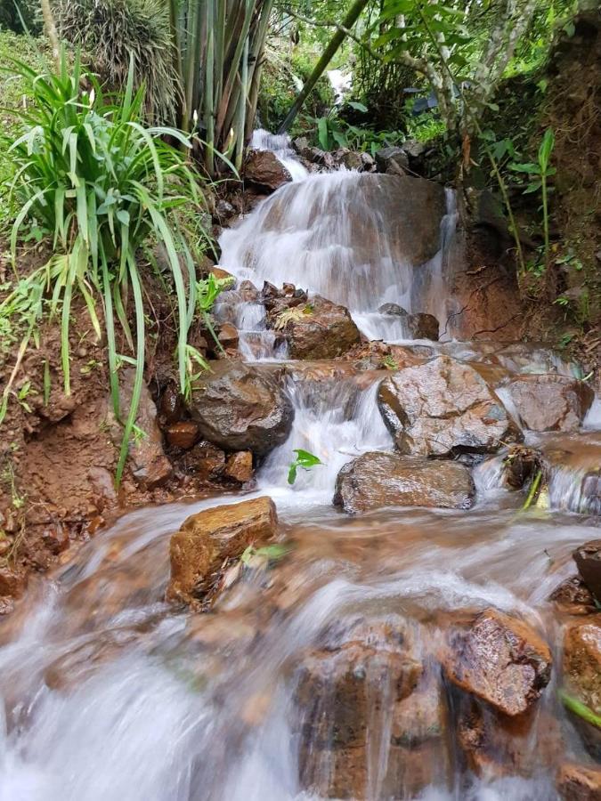 Finca Turistica Los Rosales Pereira Eksteriør bilde